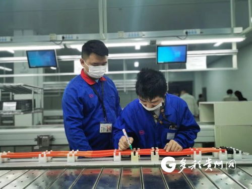 比亞迪貴陽弗迪動力高壓電氣工廠首批線束產(chǎn)品成功下線，加速高低壓電氣產(chǎn)業(yè)布局